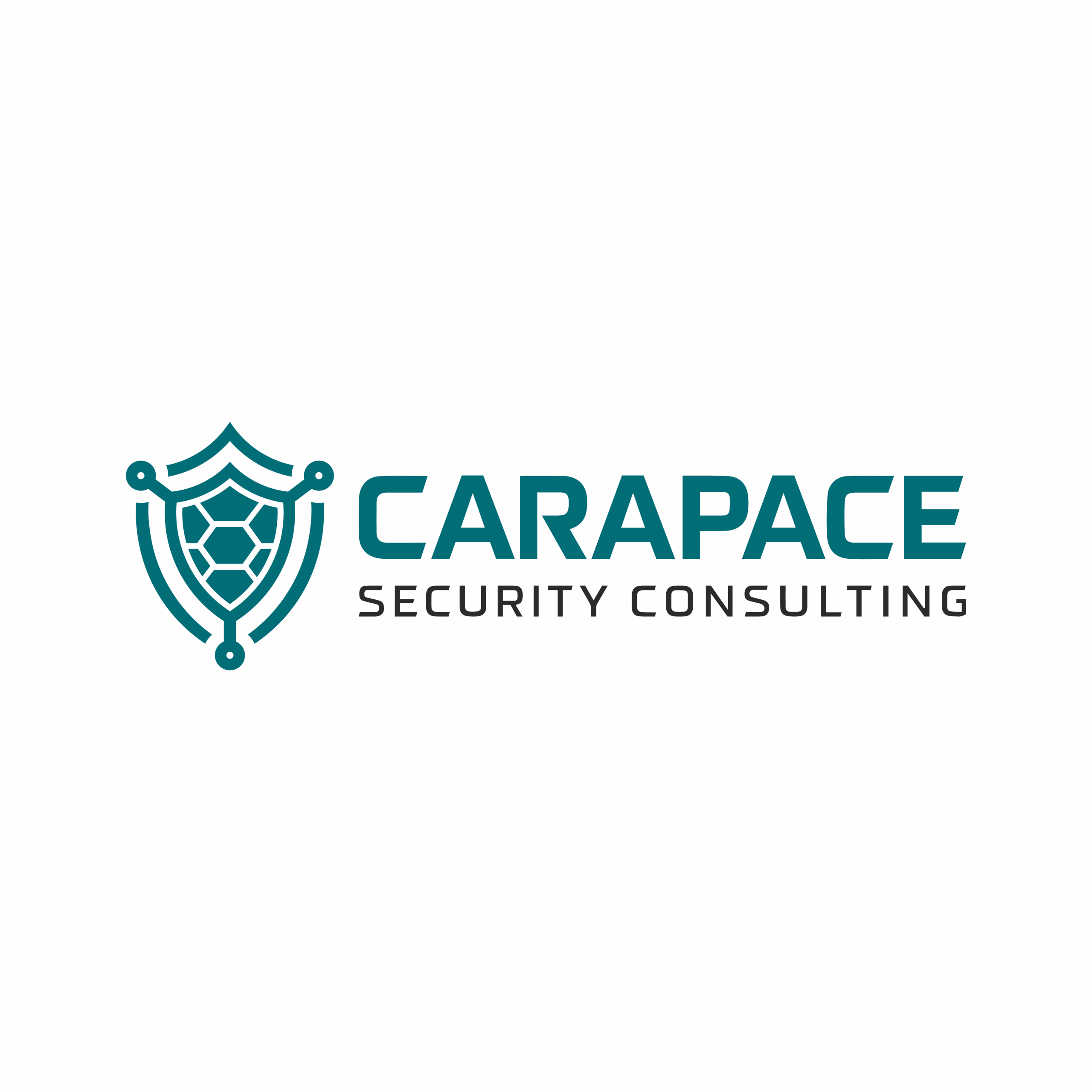 Carapace Security Consulting